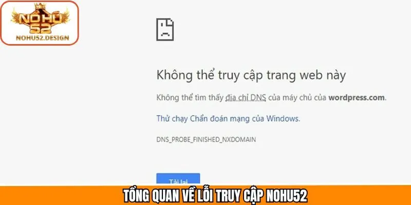 Tổng quan về sự cố truy cập trang chủ không thành công